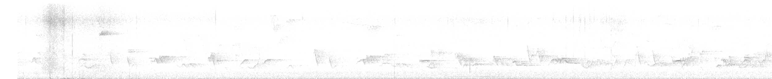 Черноголовый толстонос - ML587878001