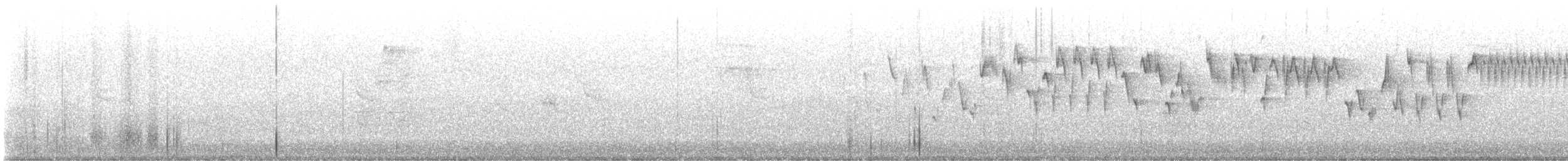Troglodyte de Baird (groupe pacificus) - ML587913941