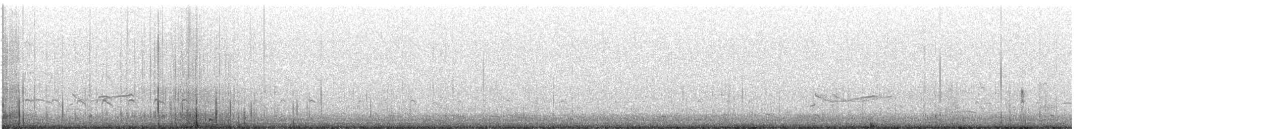 Black-bellied Plover - ML587939311