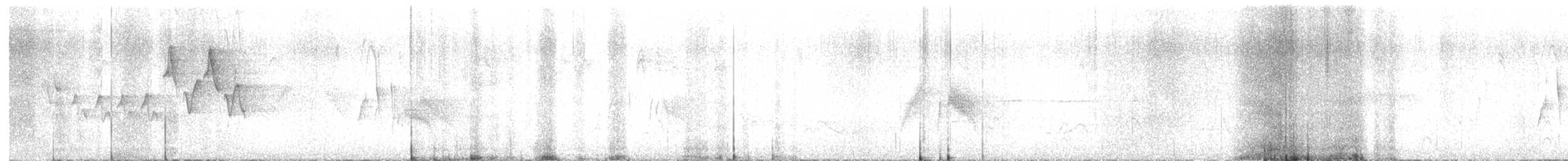 Chestnut-sided Warbler - ML587949461