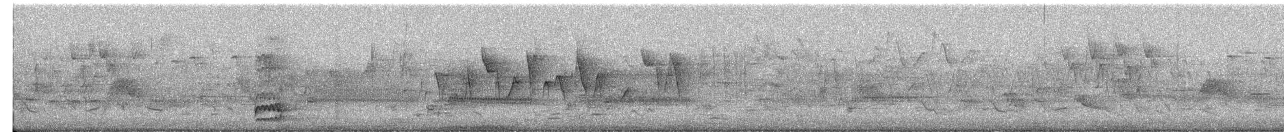 Canada Warbler - ML587954311