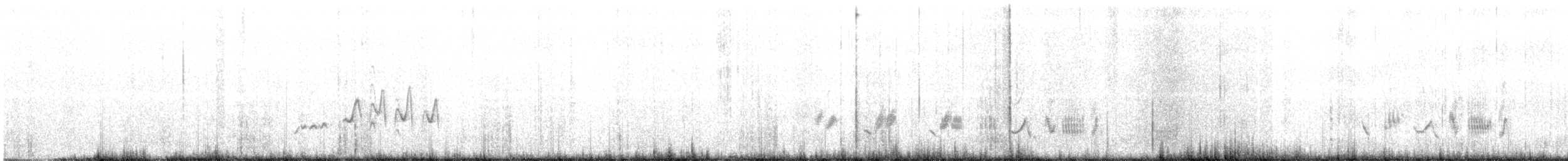 Кам’янка чорноспинна (підвид halophila) - ML587977511
