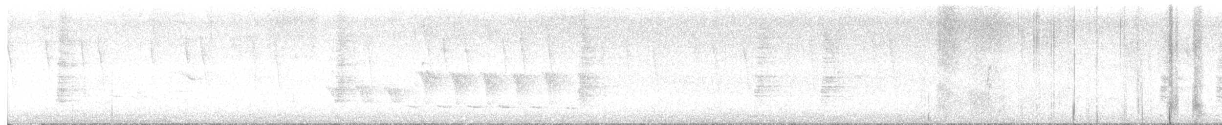 Clapper Rail - ML587981301