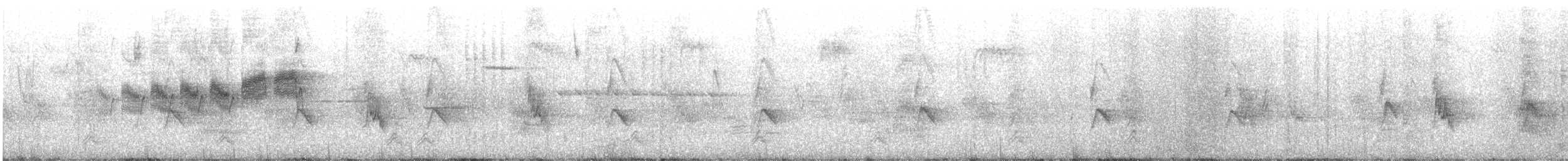 Northern Parula - ML587984741
