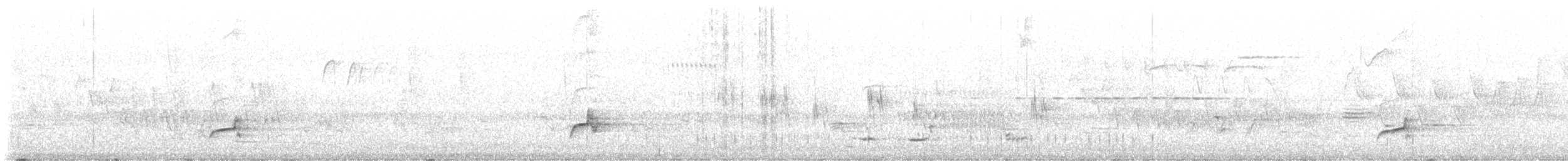 オオヒタキモドキ - ML587994441