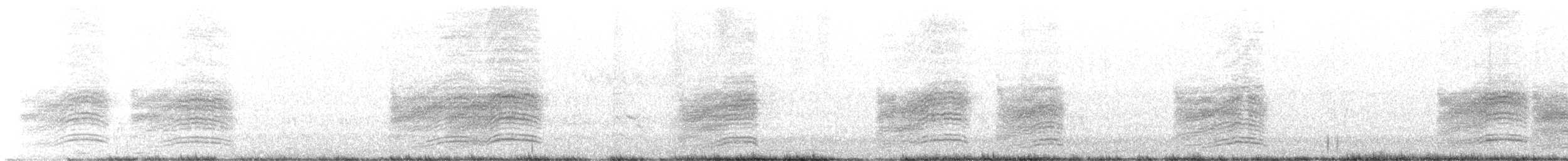 Тауї плямистий - ML588005101