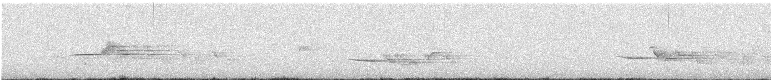 Hermit Thrush - ML588029481