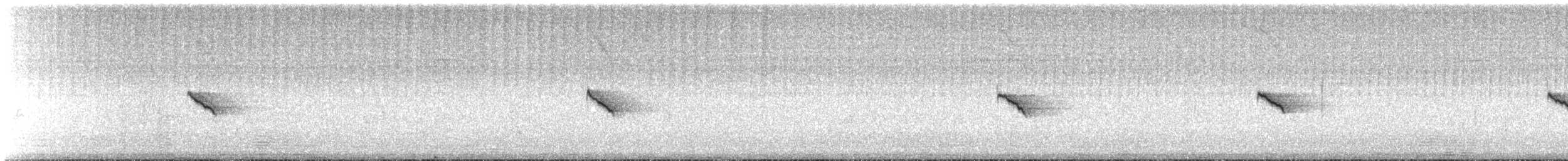 Iberian Chiffchaff - ML588116351