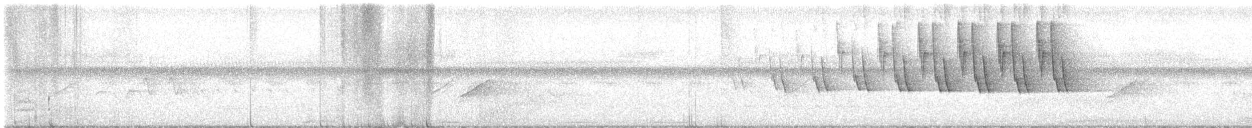 Дроздовый певун - ML588117101