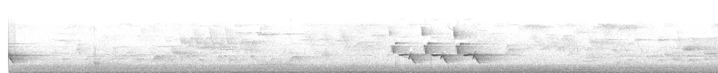 Каролинский крапивник - ML588128531