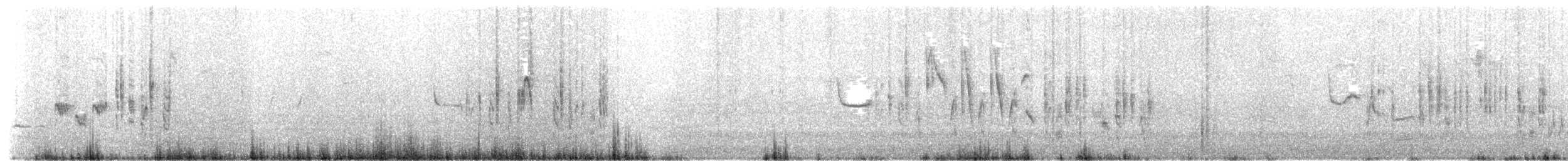 Western Subalpine Warbler - ML58816961