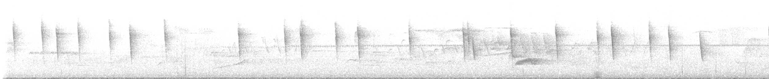 Yellow Warbler (Northern) - ML588174881