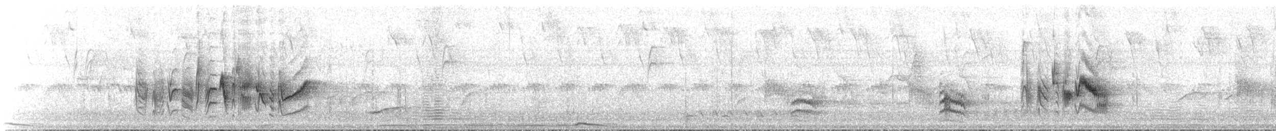 Braunaugenvireo (pusillus) - ML588183081
