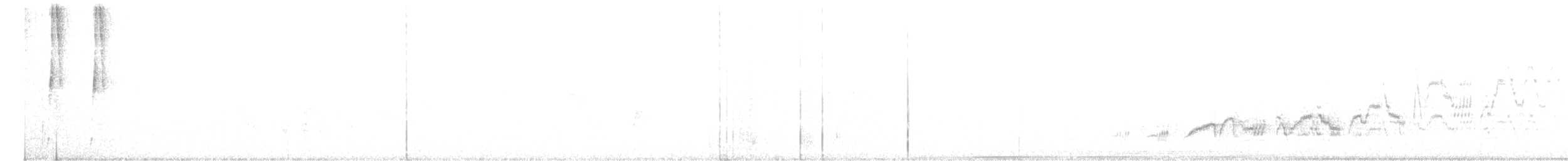 オリーブチャツグミ（ustulatus グループ） - ML588183761