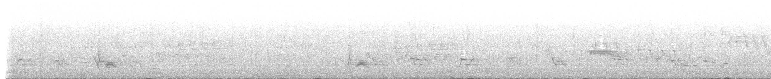 Cassin's Kingbird - ML588195611