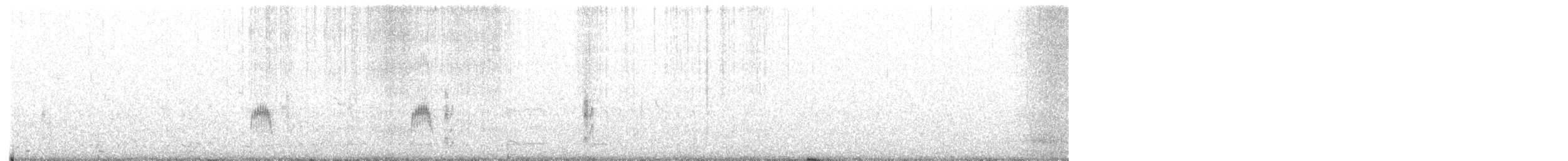 Плосконосый плавунчик - ML588202881