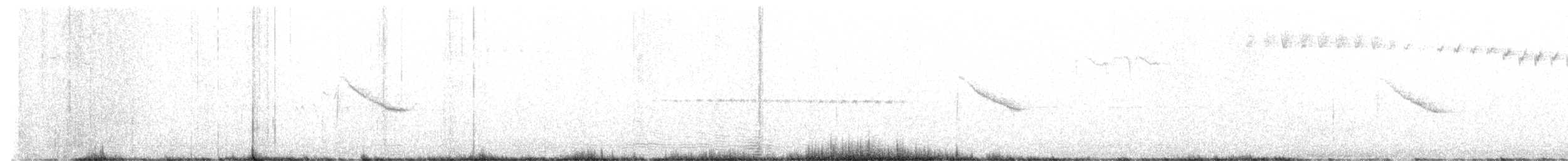 Дрізд-короткодзьоб канадський - ML588216471