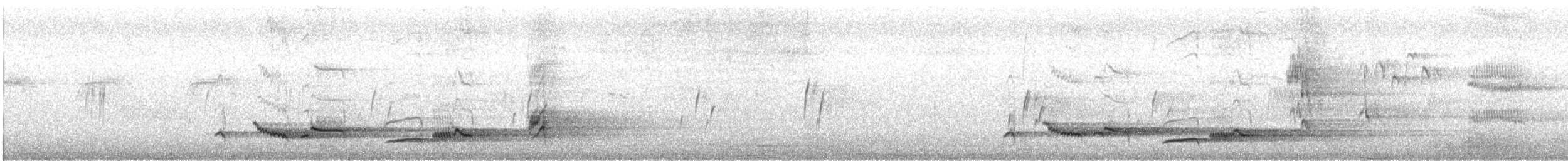 kos černý - ML58828611