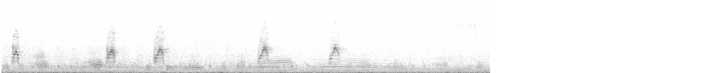 husice magellanská - ML588292431