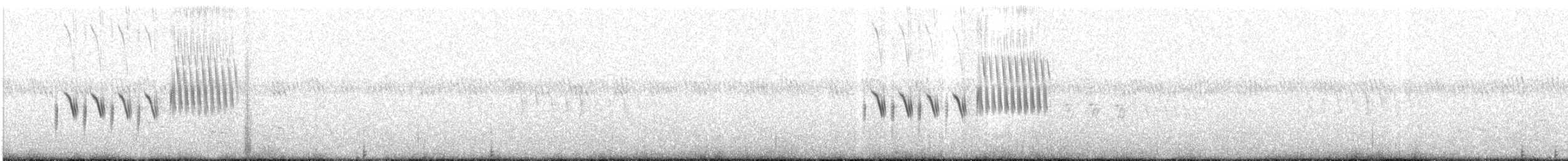 Тауї плямистий - ML588341571