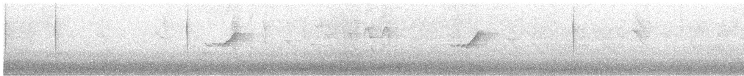 Blue-vented Hummingbird - ML58835611