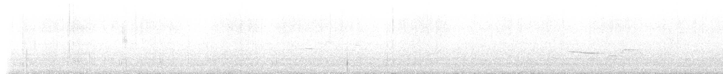 Дрізд-короткодзьоб плямистоволий - ML588377411