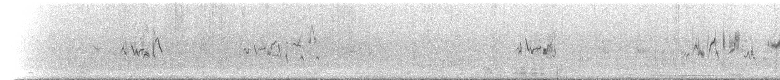 Сибирский черноголовый чекан [группа maurus] - ML588413491