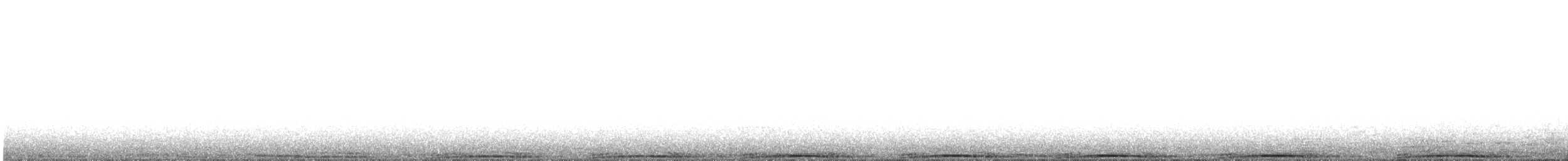 Rock Pigeon (Feral Pigeon) - ML588433361