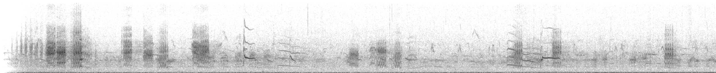 白翅黑燕鷗 - ML588435581