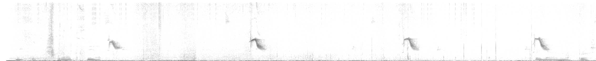 Дрізд-короткодзьоб канадський - ML588451951