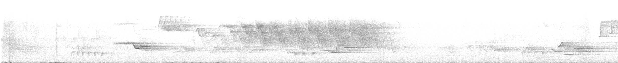 Wood Thrush - ML588466471