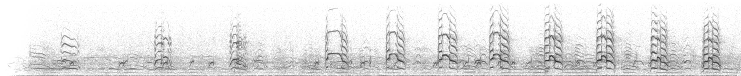 fiskemåke (heinei) - ML588473781