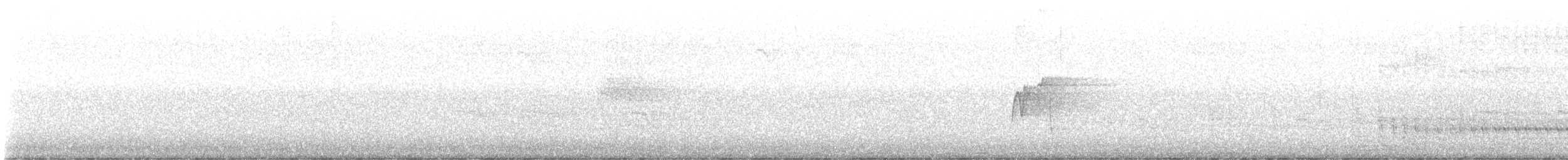 ミドリメジロハエトリ - ML588485471
