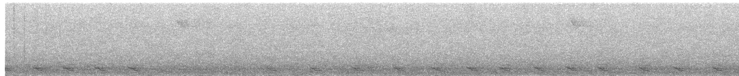 Trogon à queue blanche - ML588490161