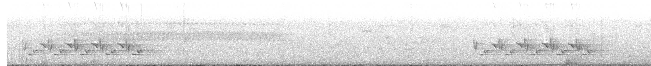 Каролинский крапивник - ML588493891