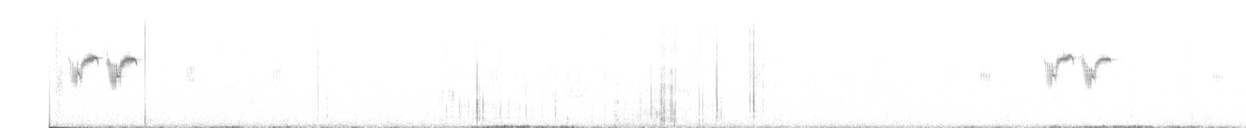 Плиска жовта (підвид iberiae) - ML588516601