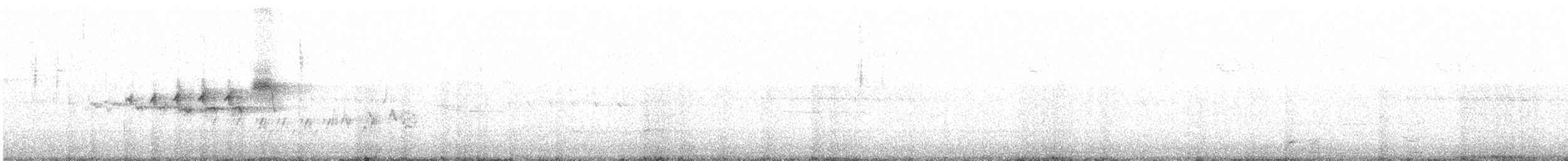 Black-throated Gray Warbler - ML588523411
