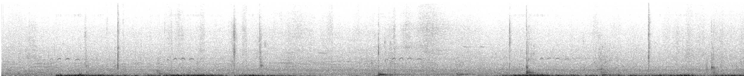 Common Murre - ML588524331