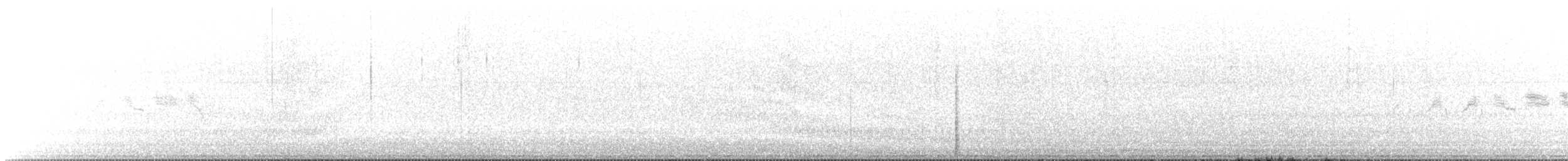Black-throated Gray Warbler - ML588527321