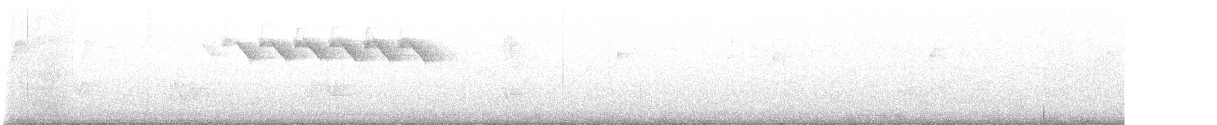 Paruline noir et blanc - ML588528481