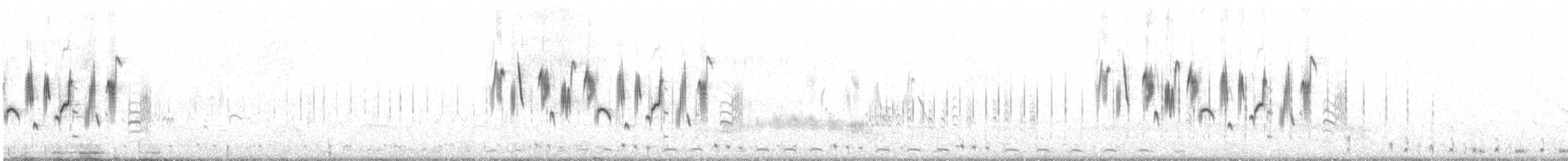 Патагонский конёк [группа correndera] - ML588529111