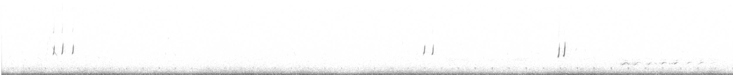 Çukulata Renkli Tiran - ML588546561