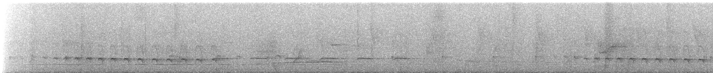 svartbrystspett (occidentalis) - ML588555111