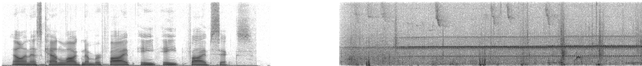 Mérulaxe de Spillmann - ML58856