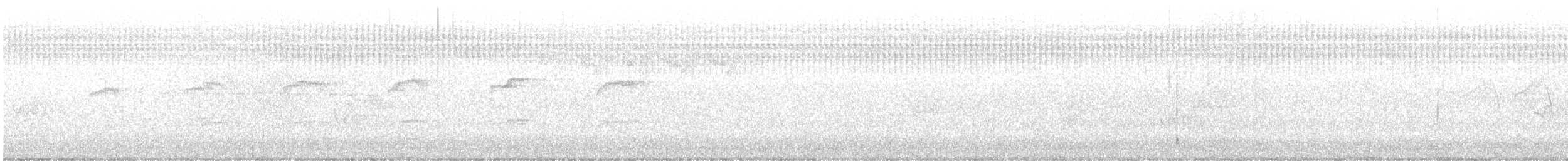 Sharp-shinned/Cooper's Hawk - ML588563711