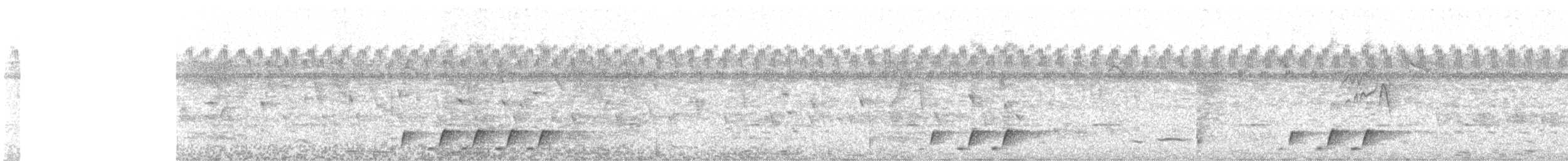 Doherty's Bushshrike - ML588571421