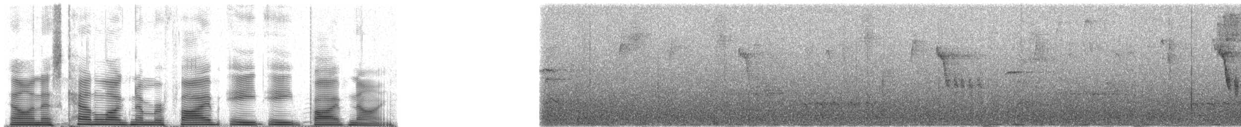 Troglodyte montagnard - ML58859