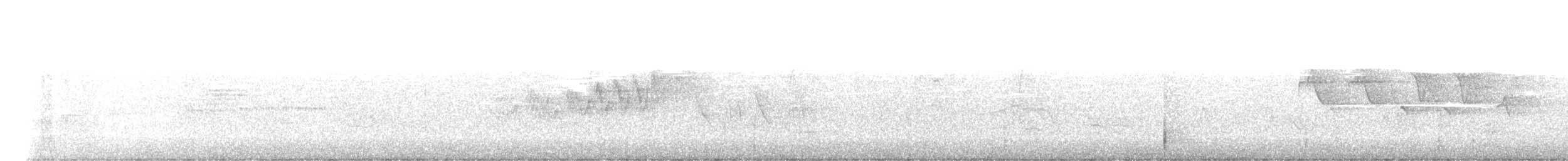 Cerulean Warbler - ML588606481