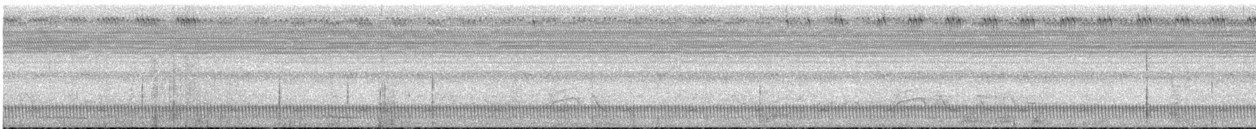 Long-tailed Nightjar - ML588619461