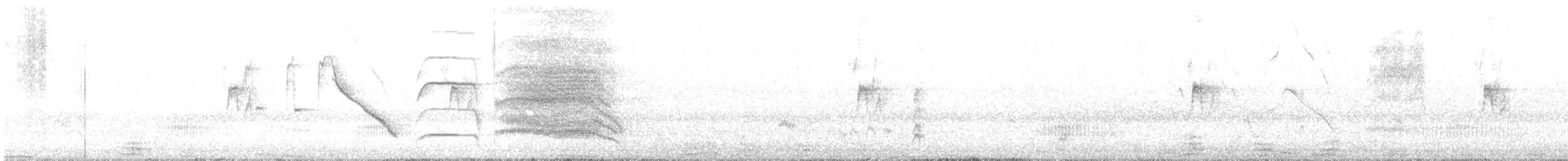 Long-tailed Meadowlark - ML588636761